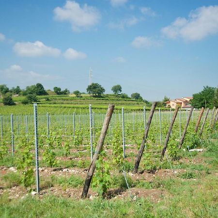 Agriturismo Albarello Sona Zewnętrze zdjęcie