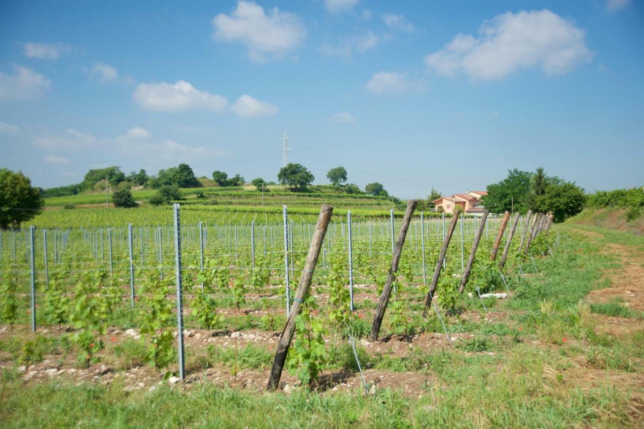 Agriturismo Albarello Sona Zewnętrze zdjęcie