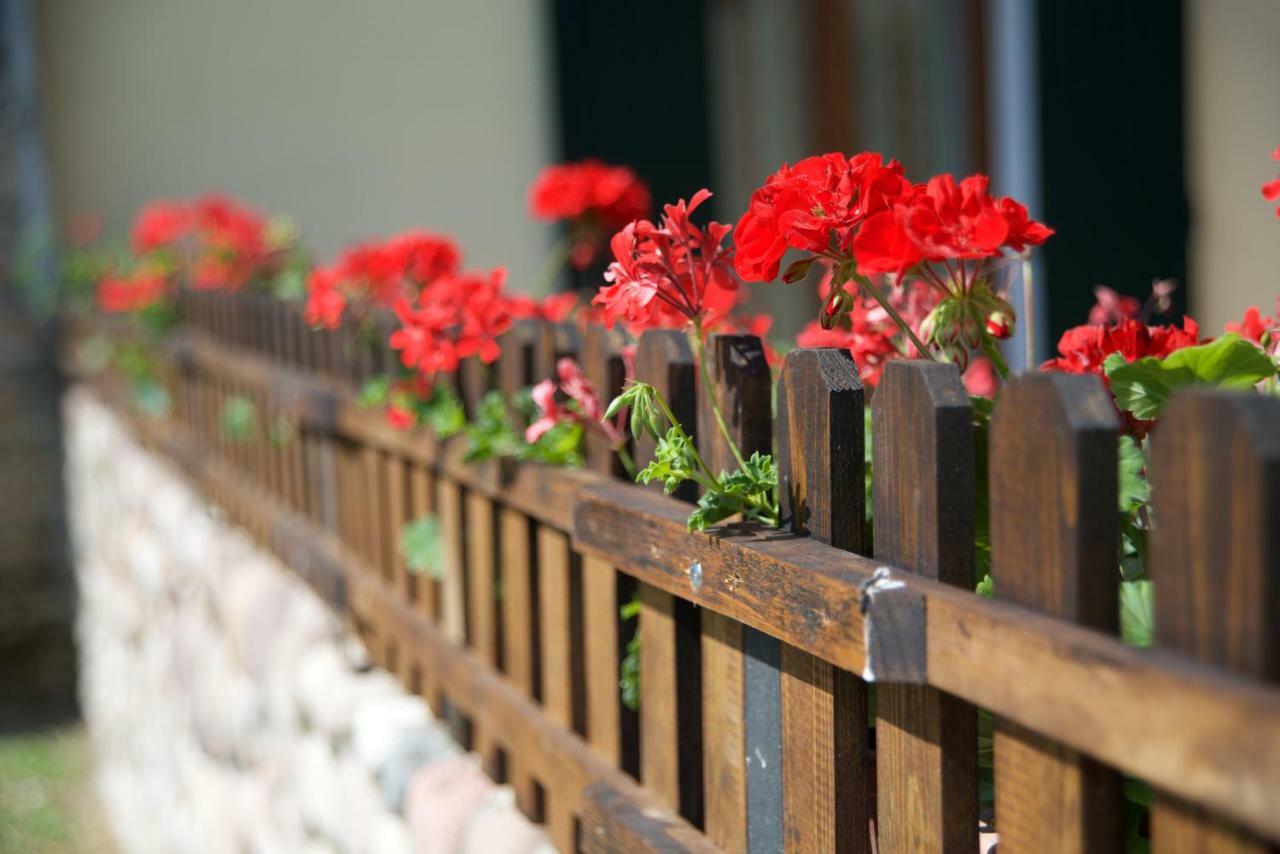 Agriturismo Albarello Sona Zewnętrze zdjęcie