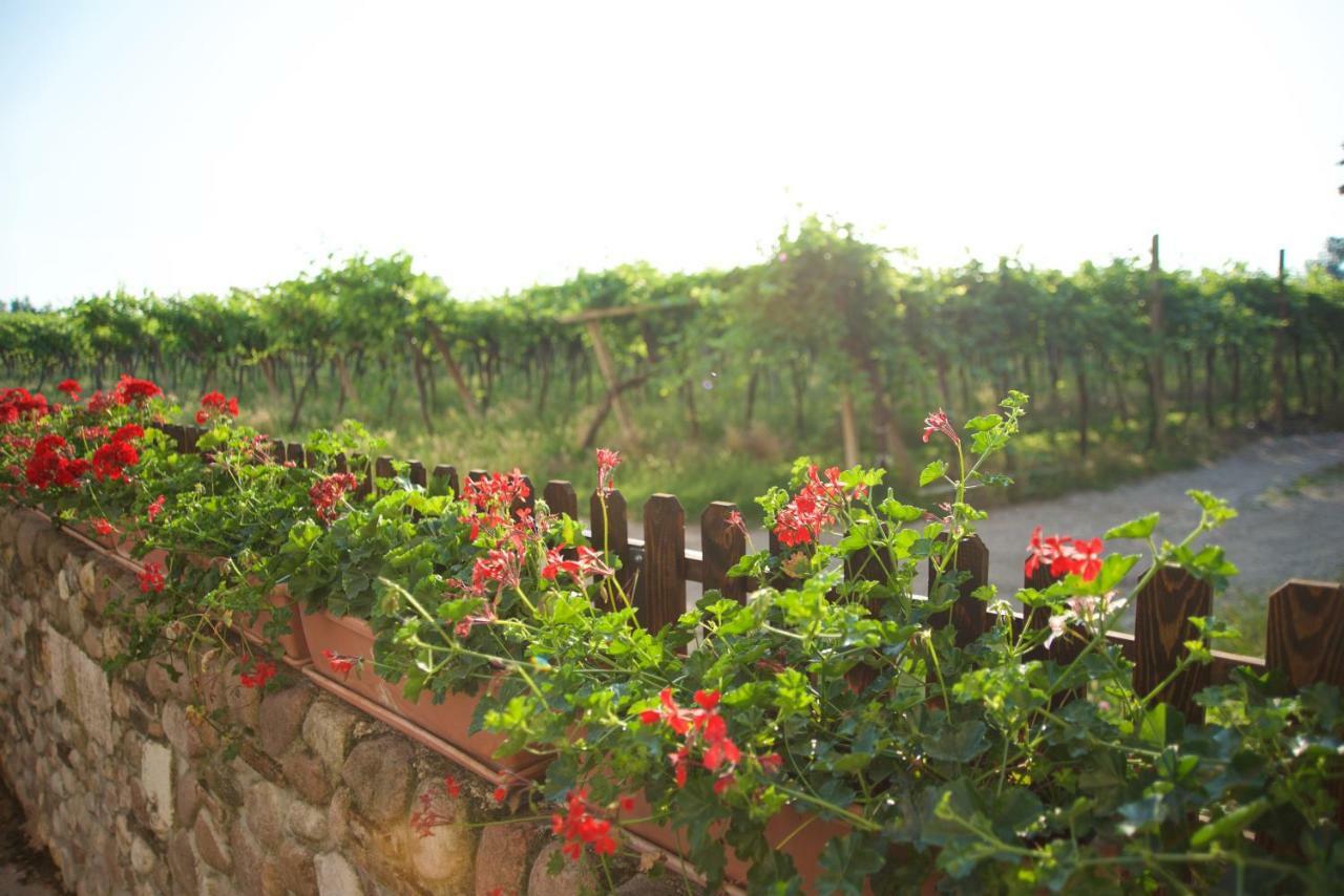 Agriturismo Albarello Sona Zewnętrze zdjęcie