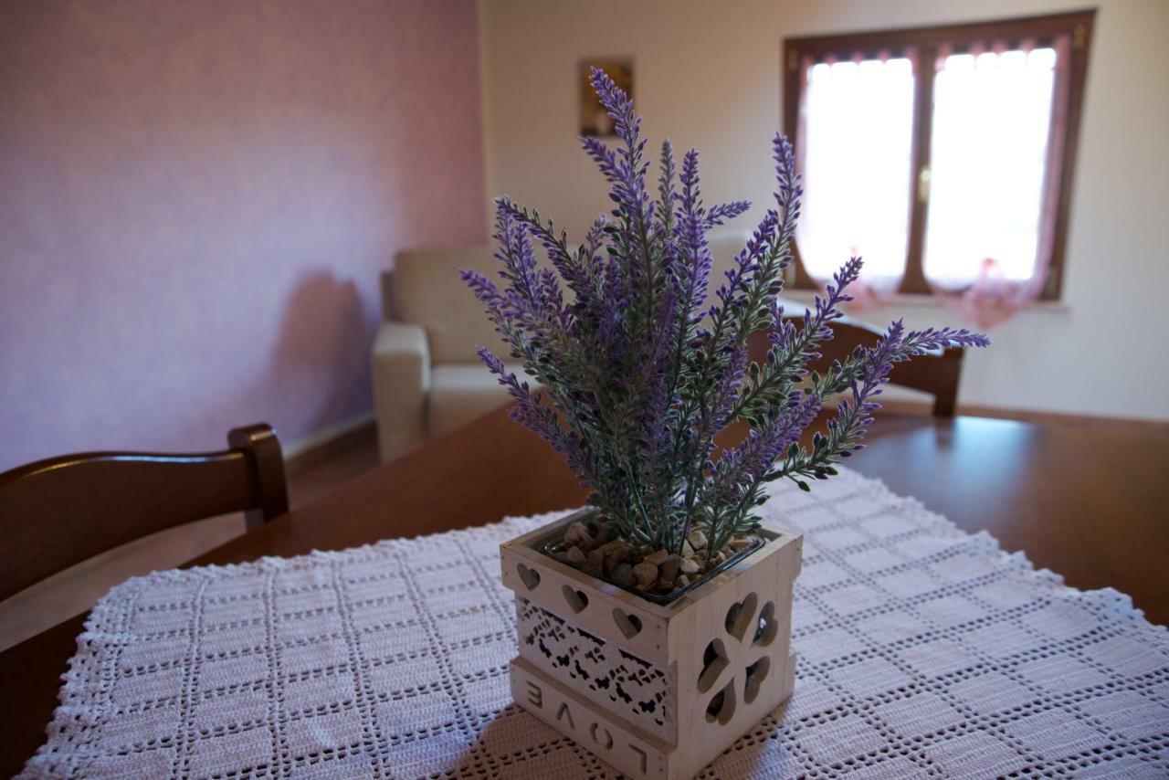 Agriturismo Albarello Sona Zewnętrze zdjęcie